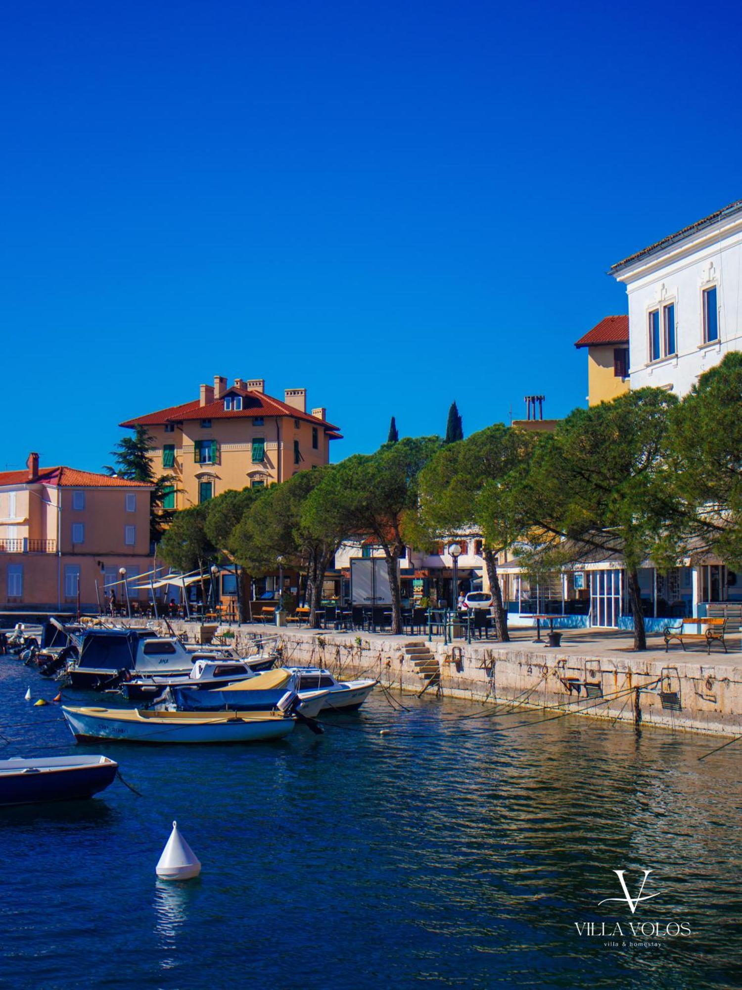 Villa Volos Apartment Karmen With Roof Terrace, Sea View, Free Private Parking أوباتيا المظهر الخارجي الصورة